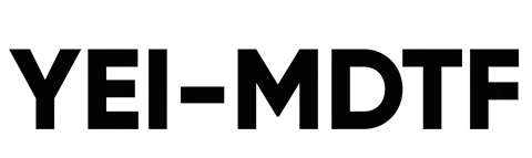 Youth Entrepreneurship & Innovation MDTF Logo